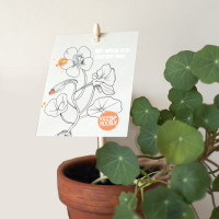 Kaartje Bloemenzaden Goede moed zaaien